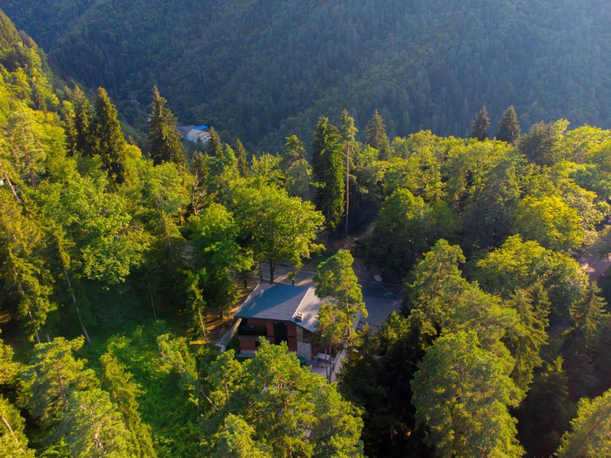 Hotel Evergreen Боржоми Экстерьер фото