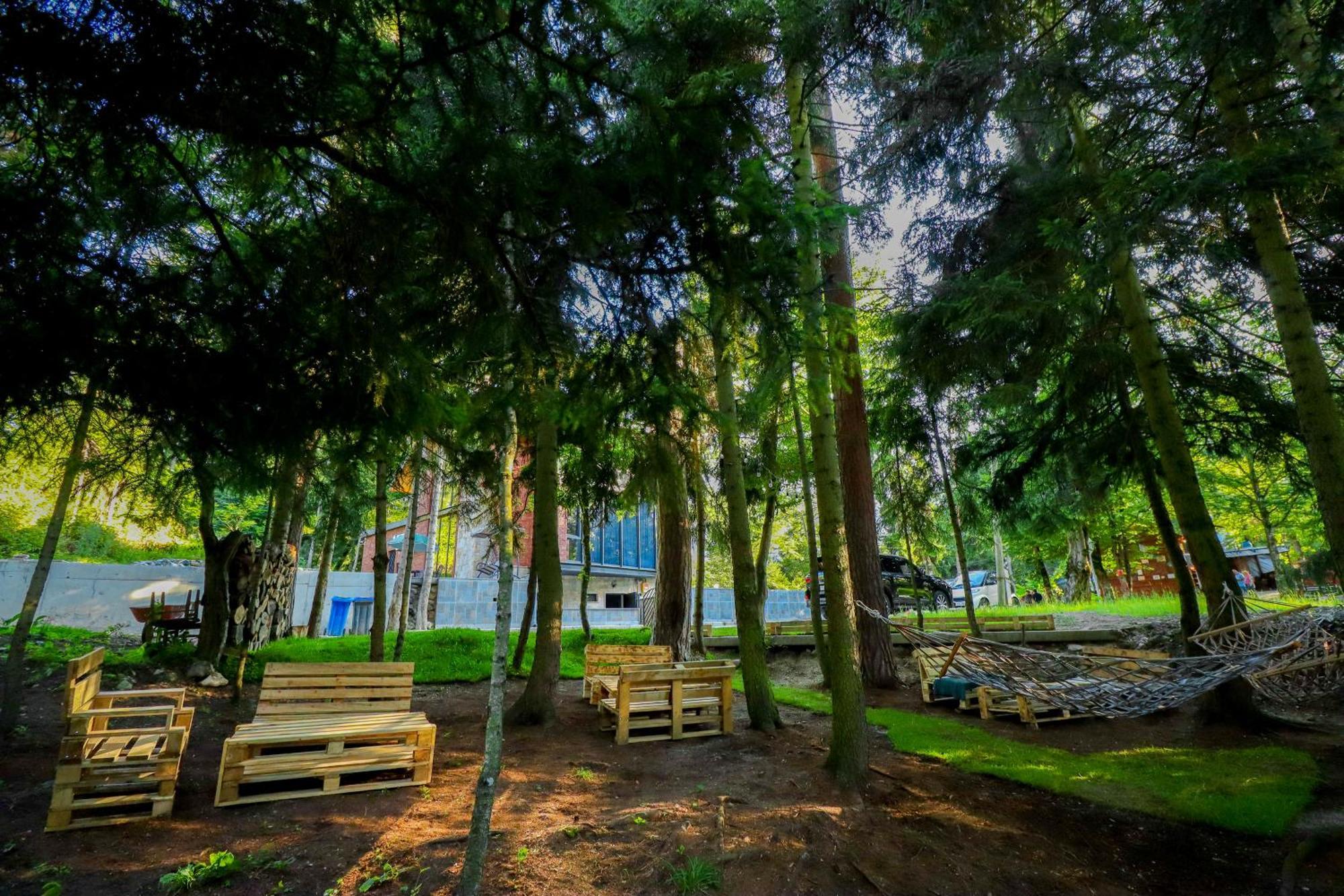 Hotel Evergreen Боржоми Экстерьер фото